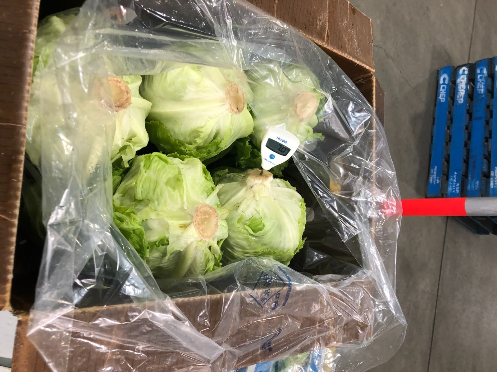 Lifepack produce gallery 9