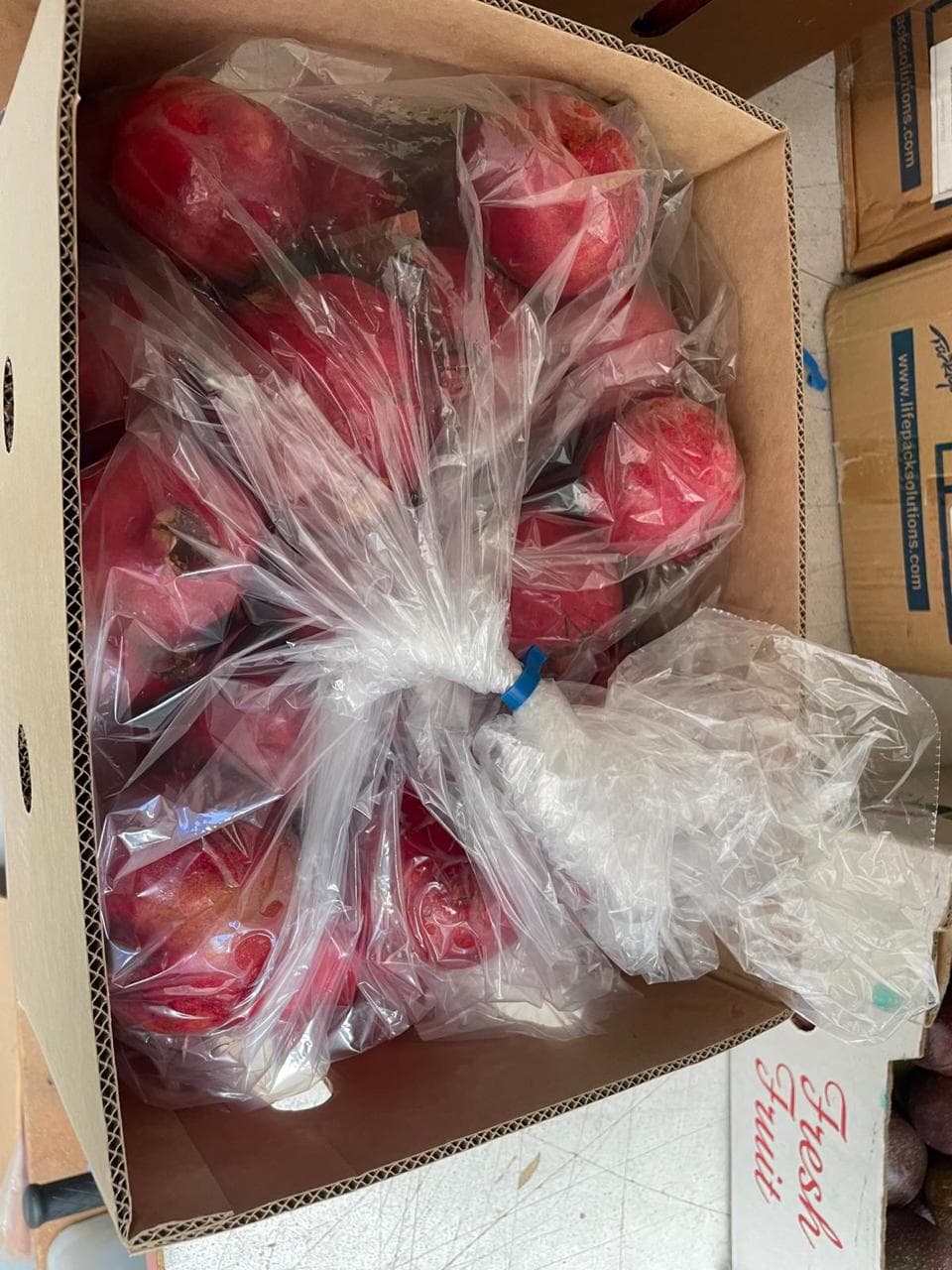 Lifepack produce gallery 12