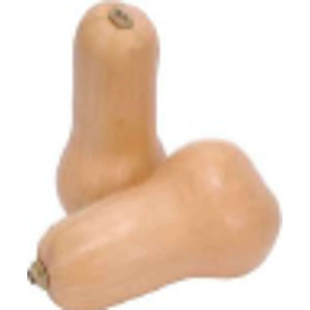 Butternut Squash
