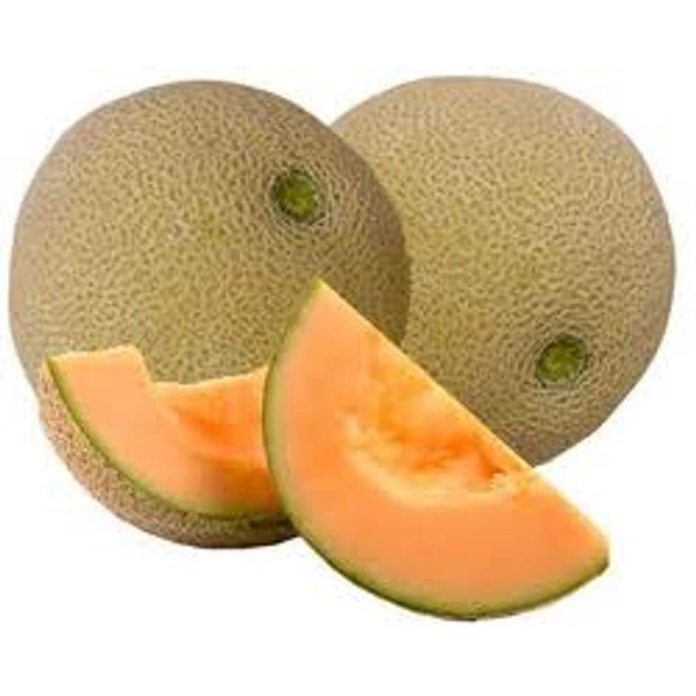Cantaloupe Melon