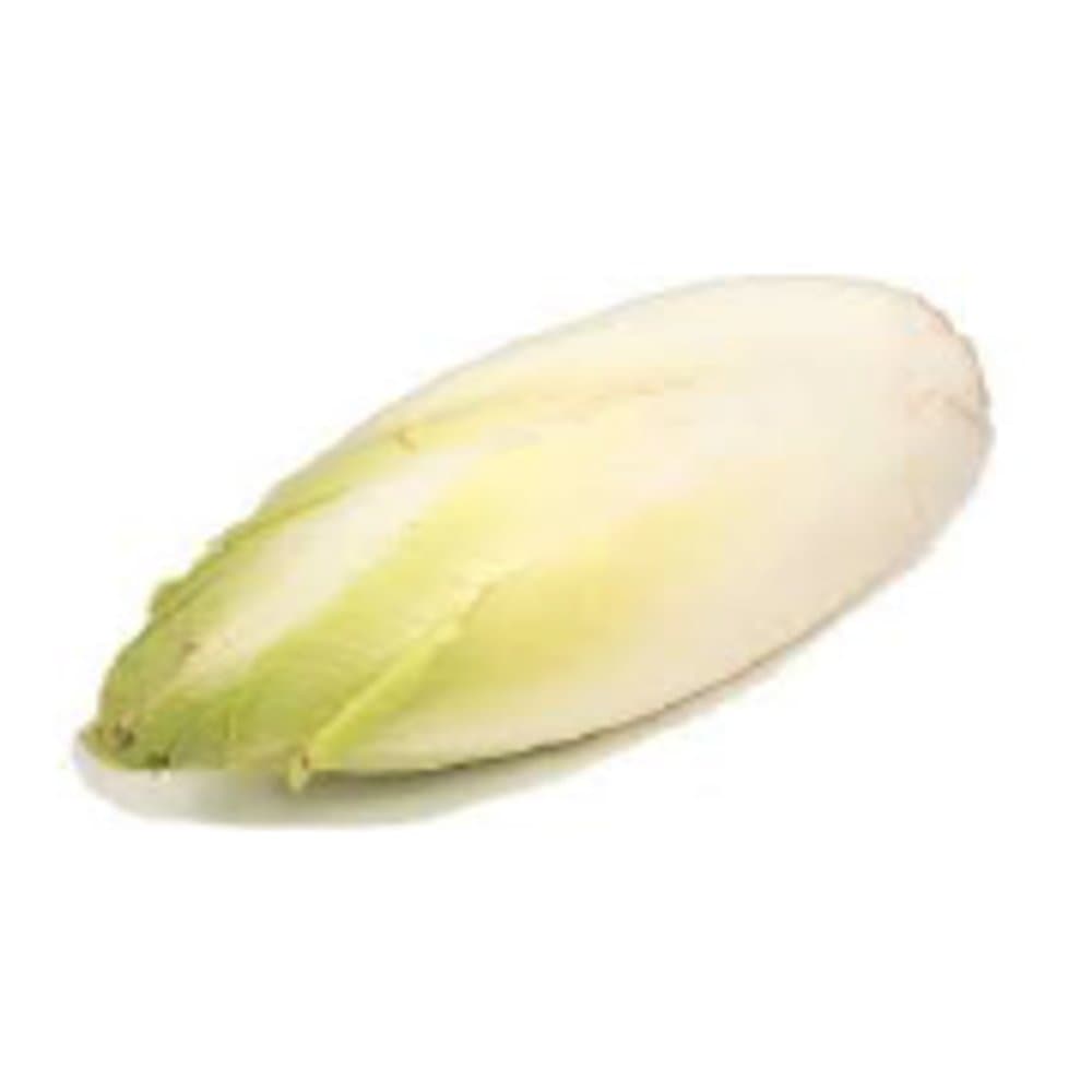 Chicory (French Endive)