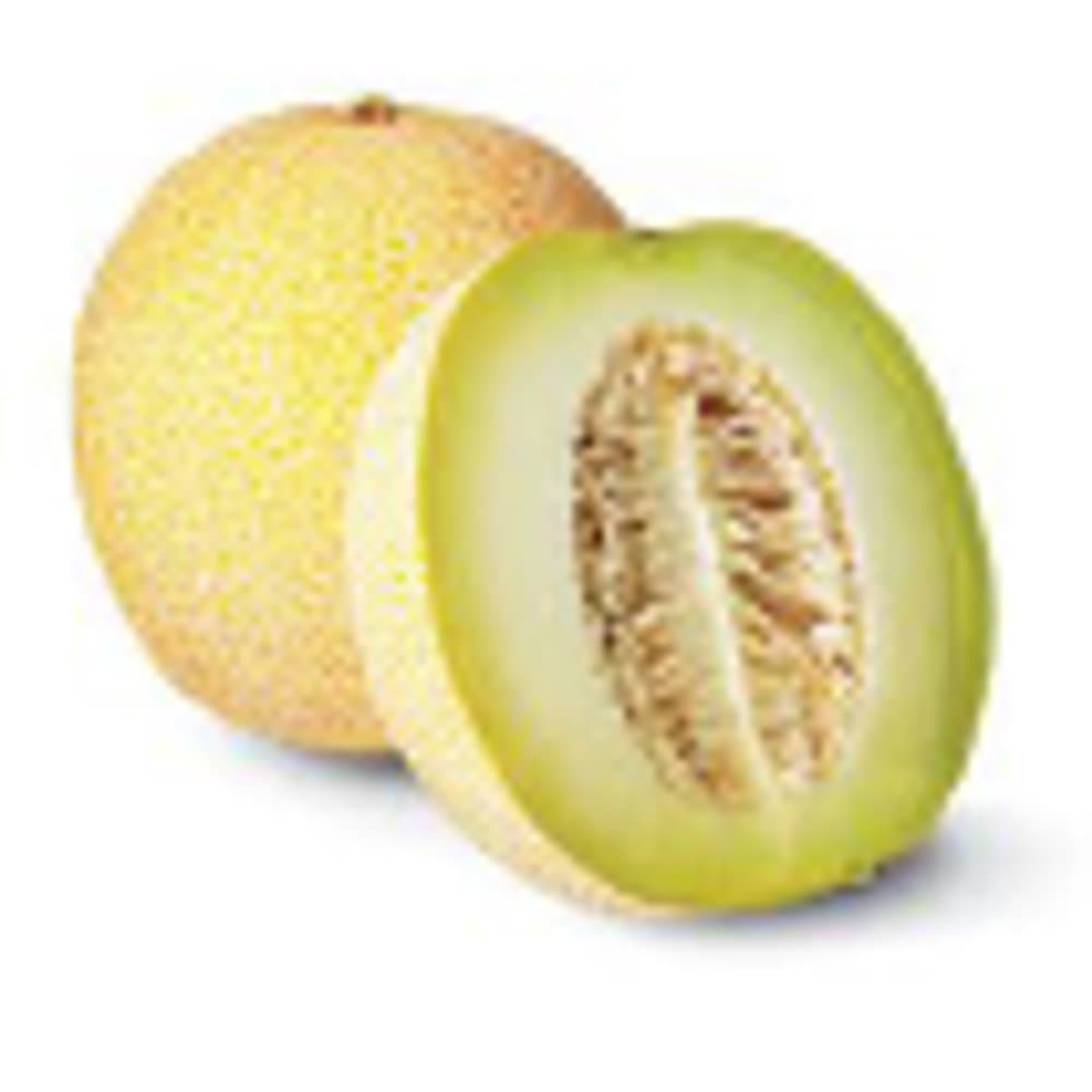 Galia Melon
