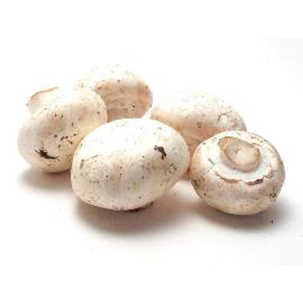 Mushroom