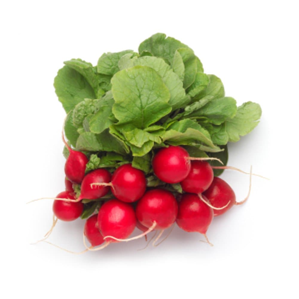 Radish
