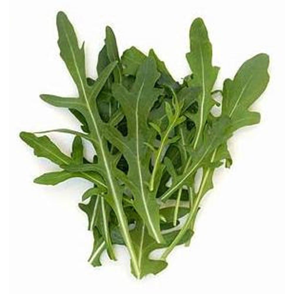 Rocket