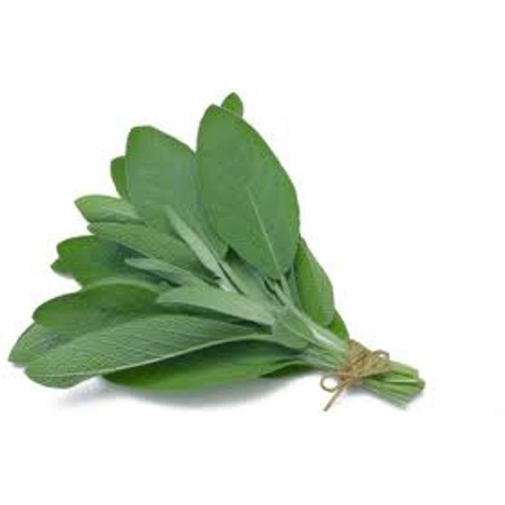Sage