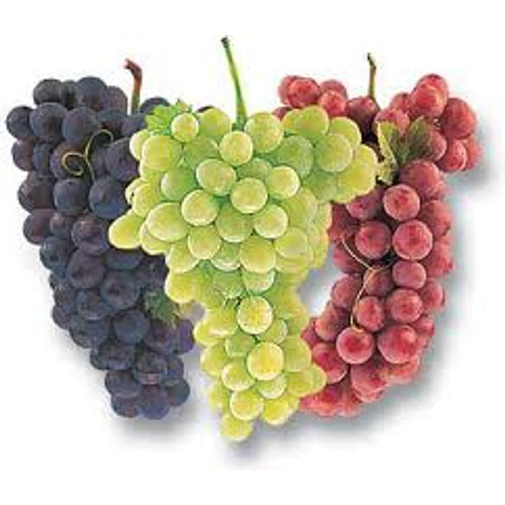 Table Grape