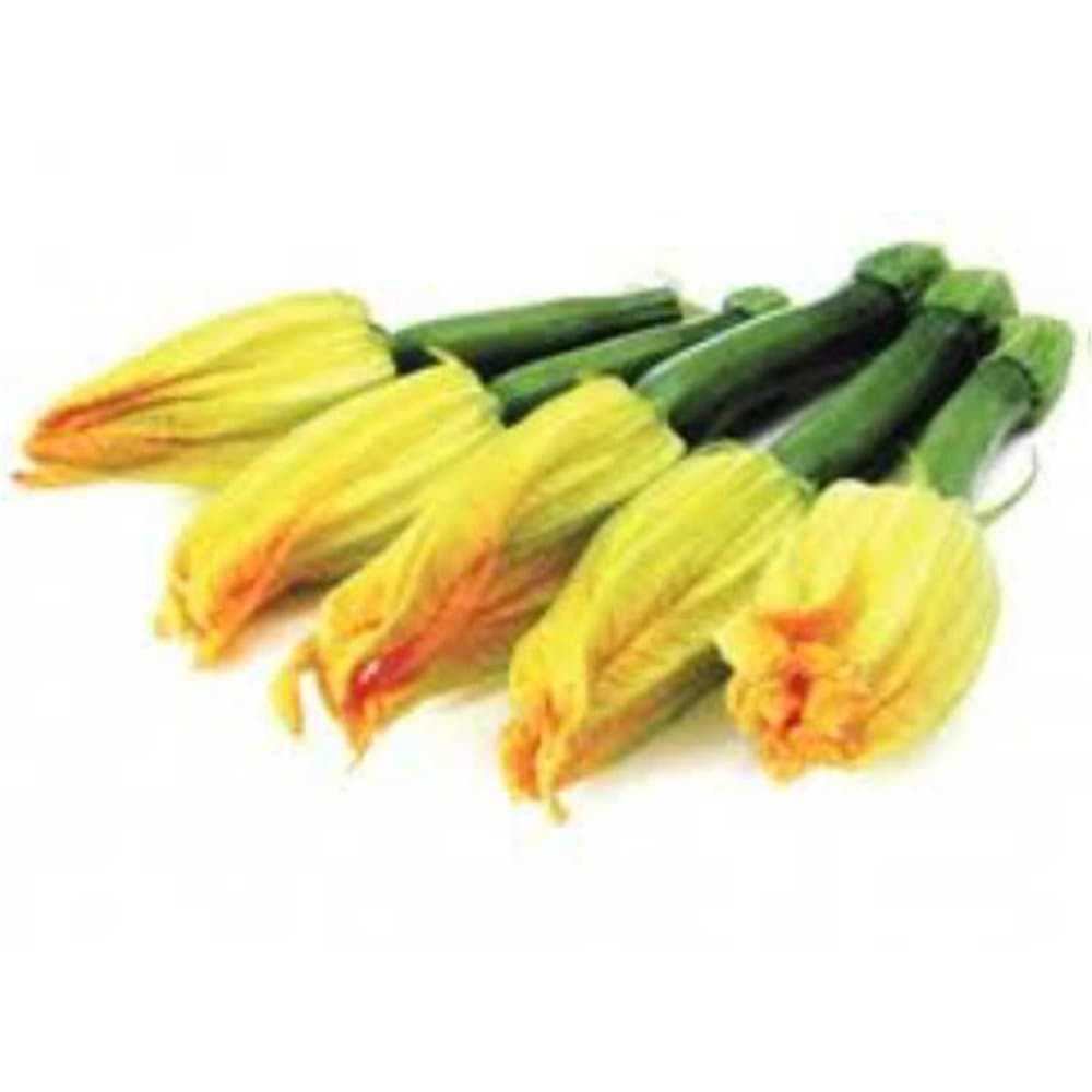Zucchini